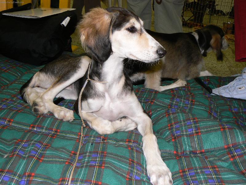 Foto: Aischaja Yrtep - 3m�s�ce a t�den-Za chv�li se budu poprv� vystavovat a jsem si pln� v�doma sv� kr�sy