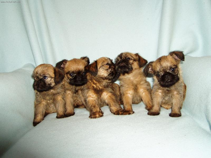 Foto: Rodinn� foto-Rodinn� foto