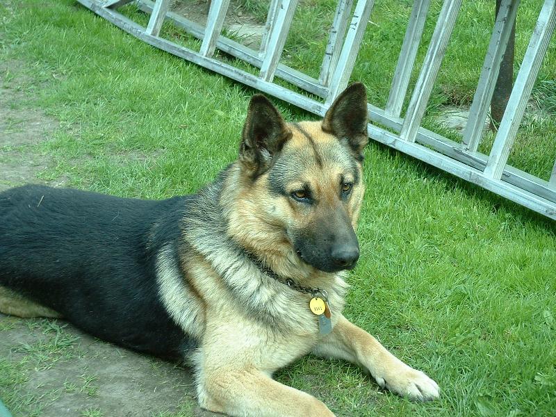 Foto: Bad�sek bez PP-Tak u� jsi to zm��kla?