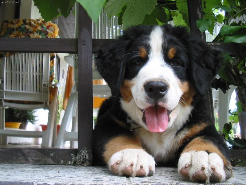 Foto: Ply��k Bady