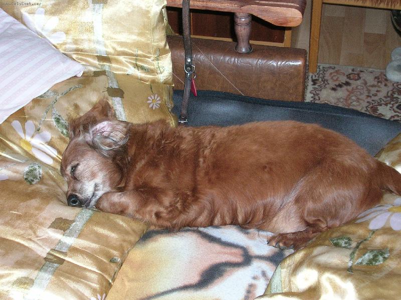 Foto: Pedr�sek-to je, ale pohodi�ka