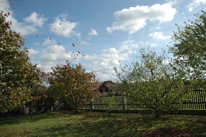 Foto: POLETUJ�C� LIST�