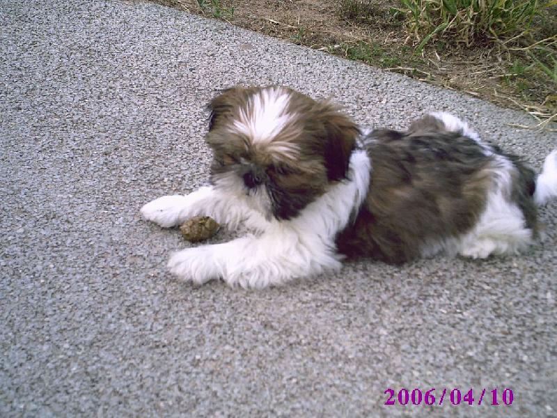 Foto: salinka 1prochazka