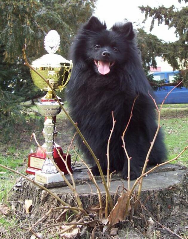 Foto: N�meck� �pic st�edn�-Andy od Ov�� babi�ky