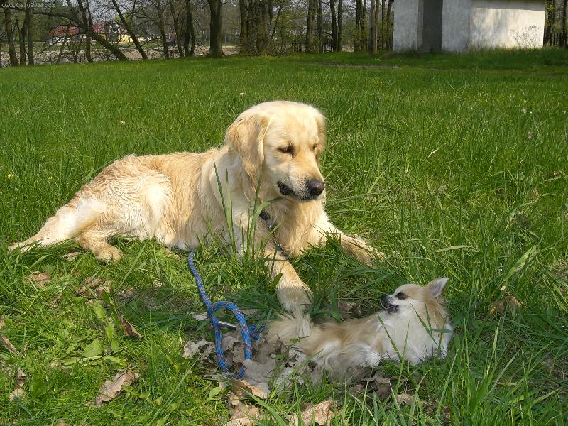 Foto: kamar�di-Vrrrrrrrrrrrrrrr!!