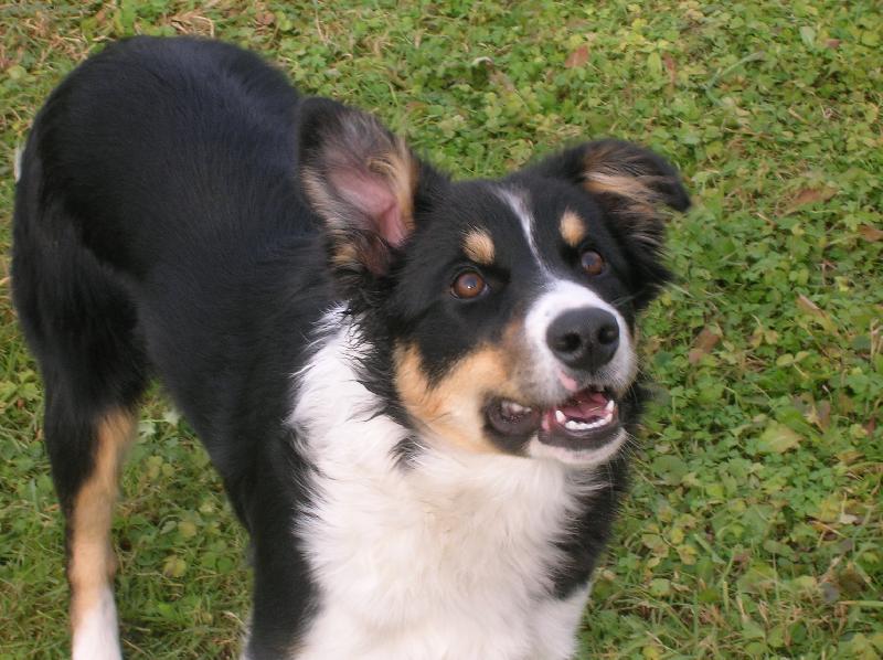 Foto: AUDI-.....j�����.....