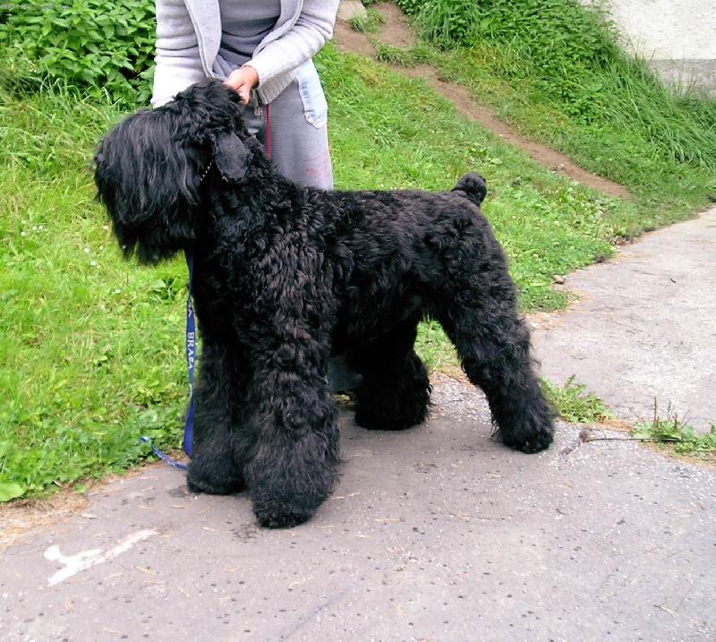 Foto: Ariela Kettfar