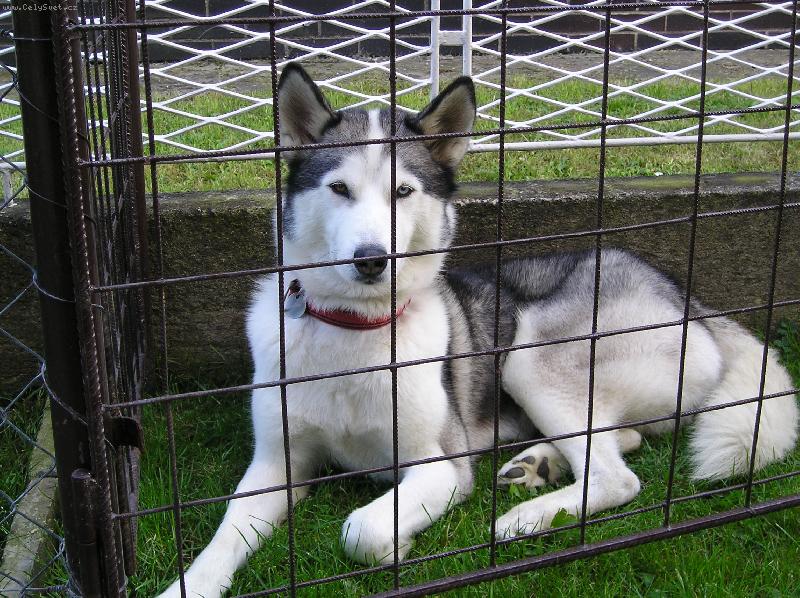 Foto: BAJTU-Zam��ovan� sv�t