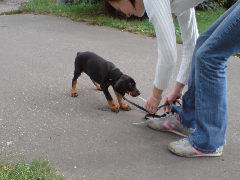 Foto: Aysha-...a stejn� ti j� utrhnu :-)