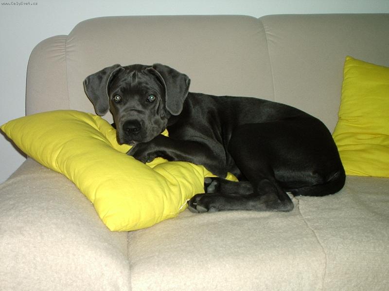 Foto: Charlottka-p��prava k sp�nku