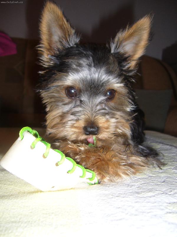 Foto: mnam to je dobra boticka!