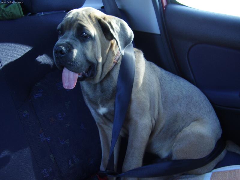 Foto: nico na cest�ch-mus�m b�t pe�liv� p�ipoutan�