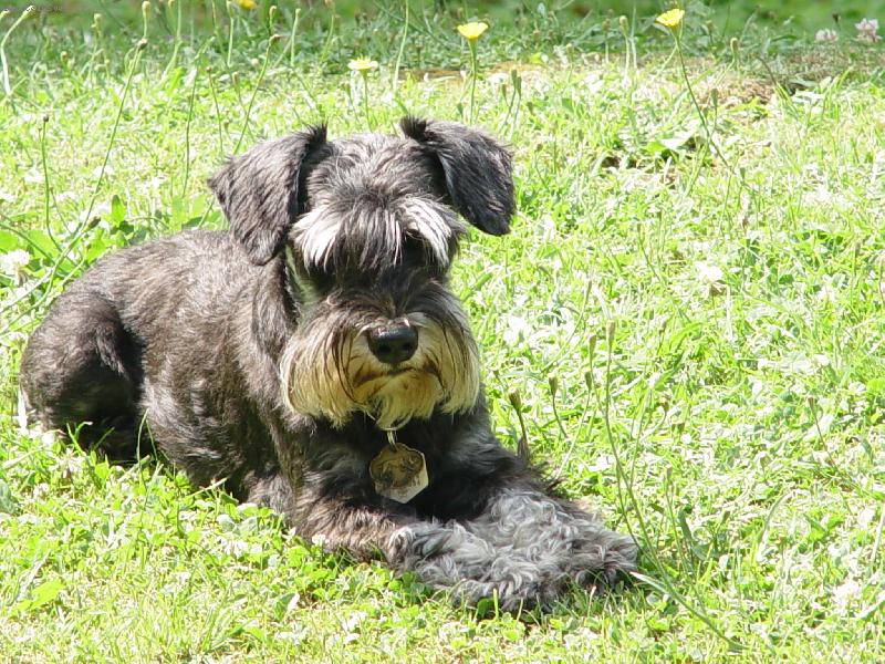 Foto: kn�ra� mal�-hezk�