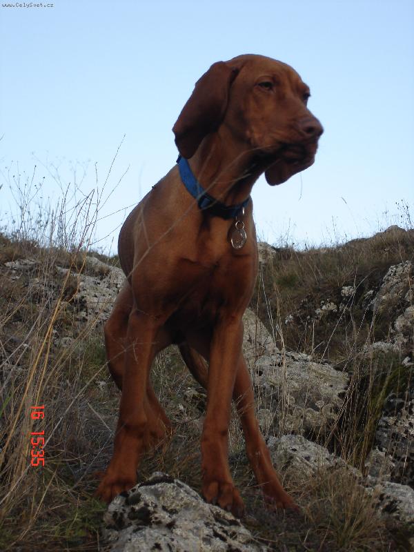 Foto: dokonal� rozhled-kouk�m, kouk�m...