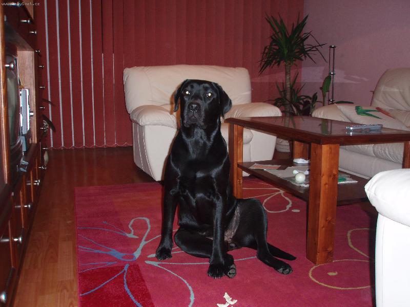 Foto: Bryta od Mar�ovsk�ch luk