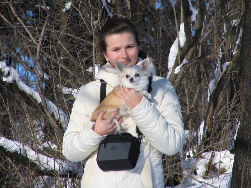 Foto: Belinka-Beli v zim�