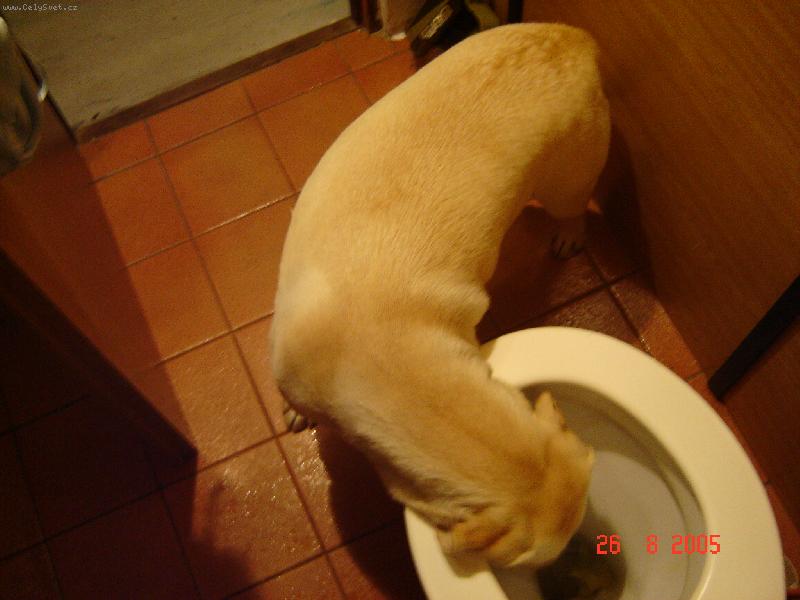 Foto: N�co dobr�ho???-V�e se mus� proskoumat...