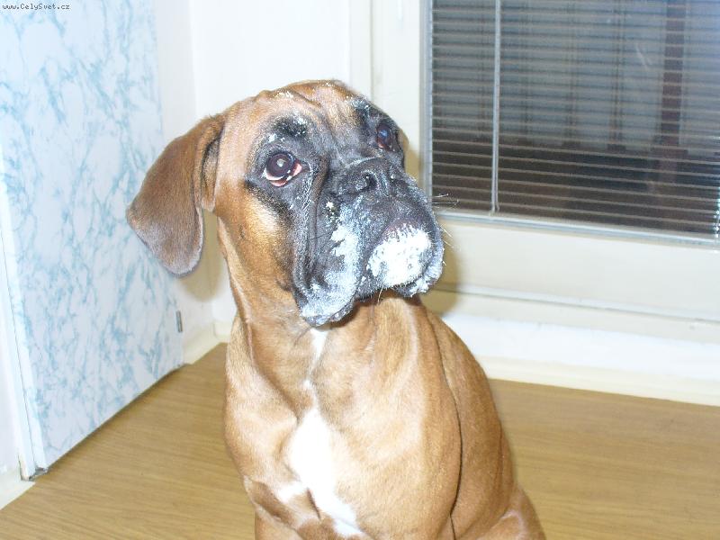 Foto: Barbra-Bonnie-J� zase vypad�m,ale bylo to dobr�,m�am.