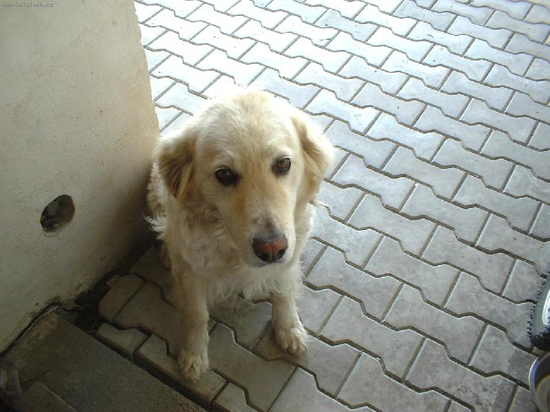 Foto: Bellinka :)-Na�a fene�ka :)