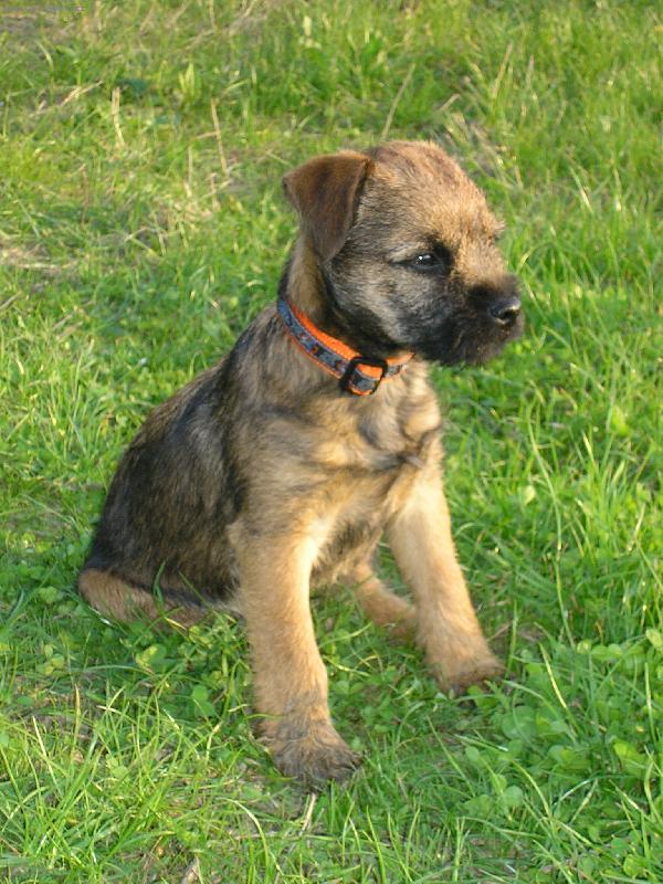 Foto: Mali�kej Bord�k