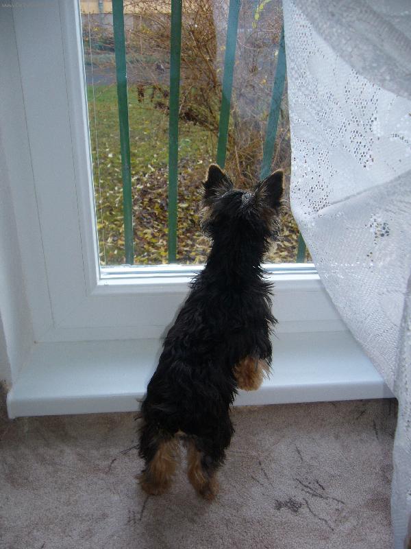 Foto: hmmm tam se neco deje musim to zkontrolovat!