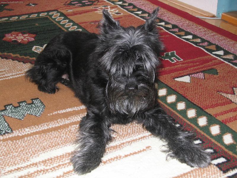 Foto: vzpom�nka na na�i Besinku