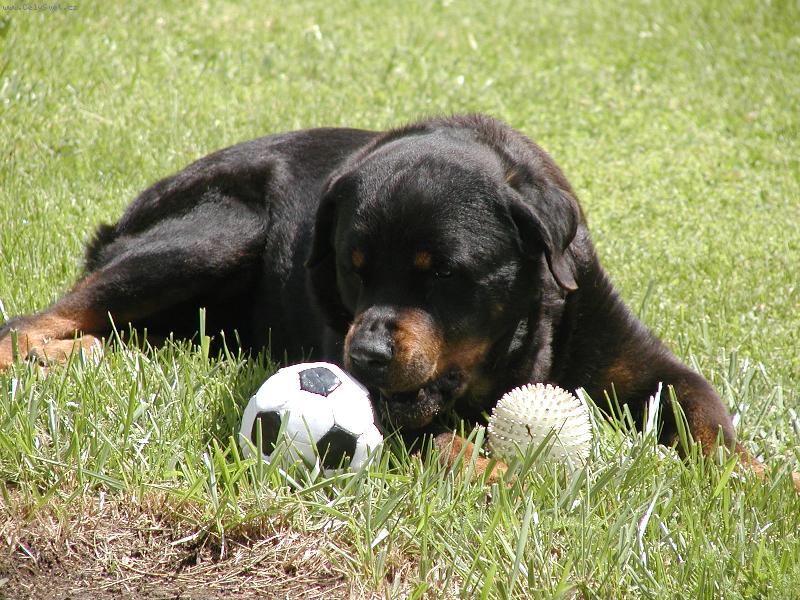Foto: Moje-Sakra,kter�?Oba