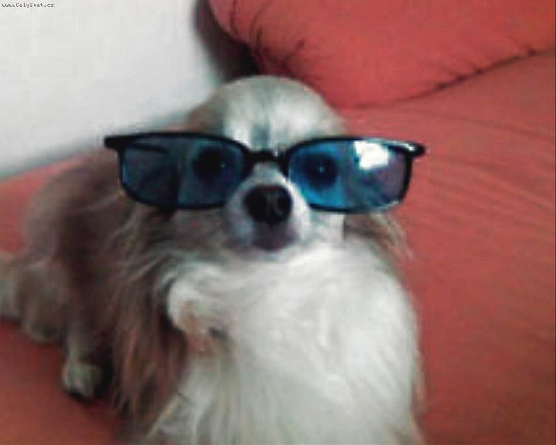 Foto: Dustin2-Te� u� jen namazat spr�vnej UV filtr a hur� ven!