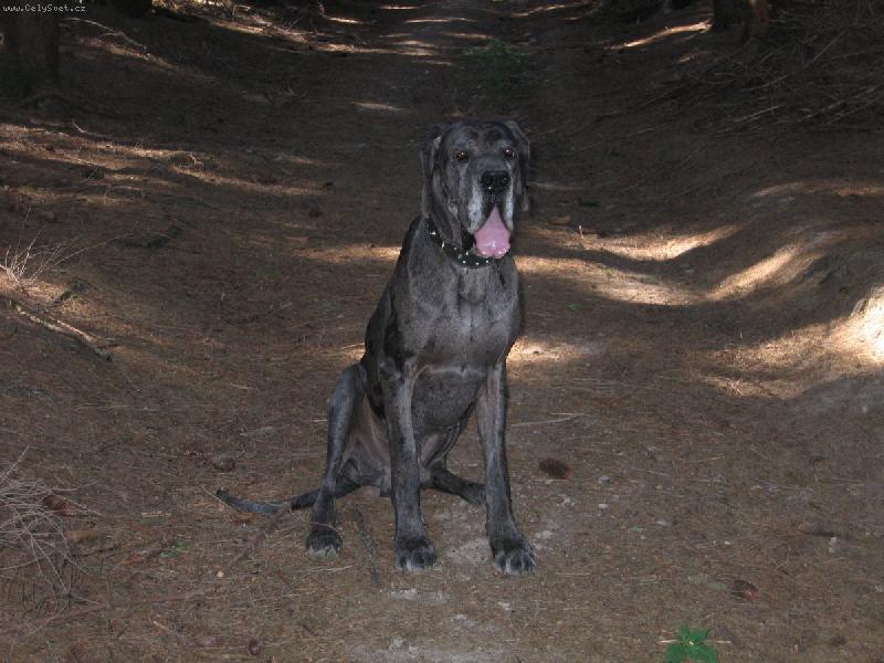 Foto: Max-Kdepak je ta cervena Karkulka?