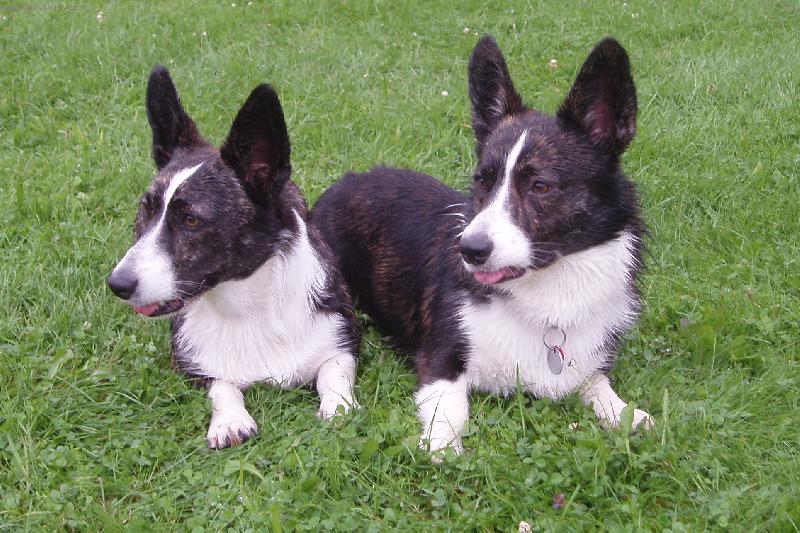 Foto: Sourozenci - www.luckyveles.wz.cz