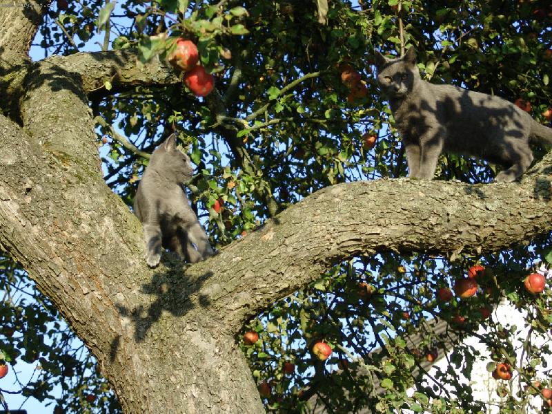 Foto: Bluefee-BLUEFEEK S BRATRANCEM