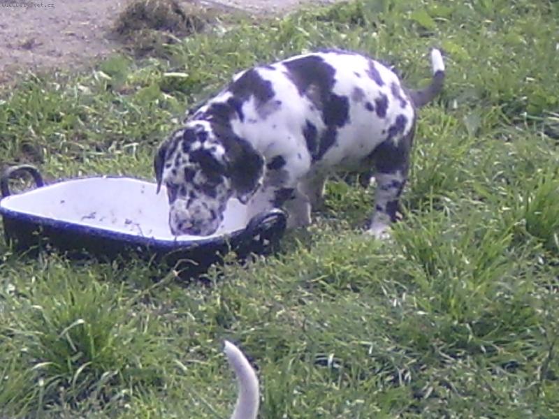 Foto: Jenom ulet�t !