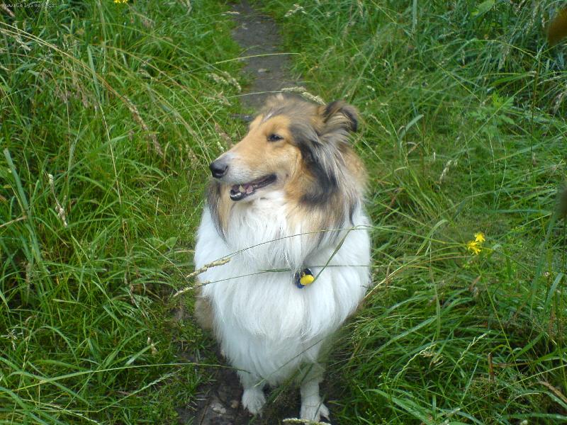 Foto: Ad�lka v tr�v�!!!-Tag to je moje Ad�lka!!M�m ji m����cinky r�da!!