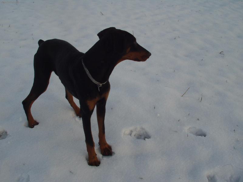 Foto: Maxmili�n-Tal�� jsem rozkousal, co te�?