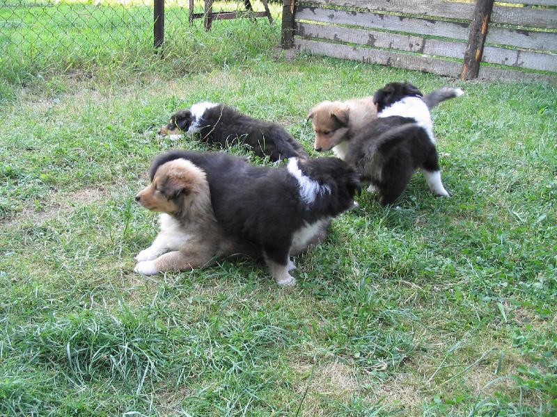 Foto: ...j� na br�chu,br�cha na mn�...-...Nesin�ini -pup�ci-...