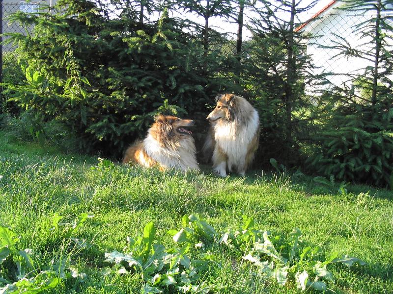 Foto: ...m�m T� r�da...-...k�mo�ky Kirby a Terezka...