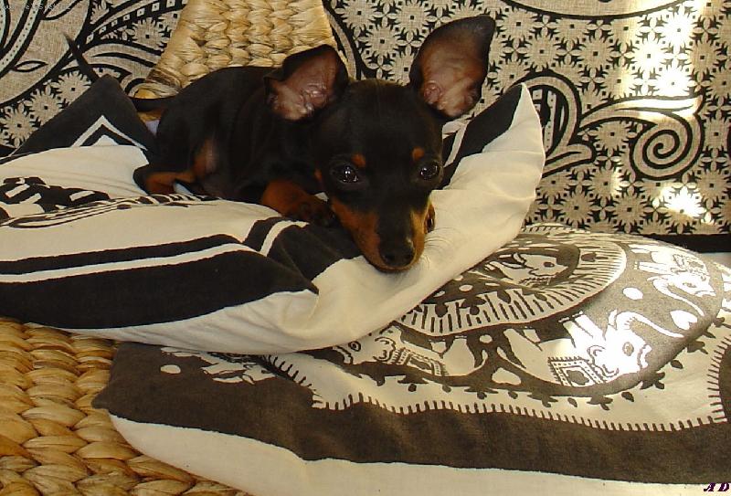 Foto: Te� budu spinkat... tak neru�it :)