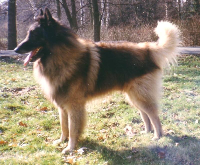 Foto: Dino Rudolfovsk� sk�la CZ-M�j milovan� Cliff