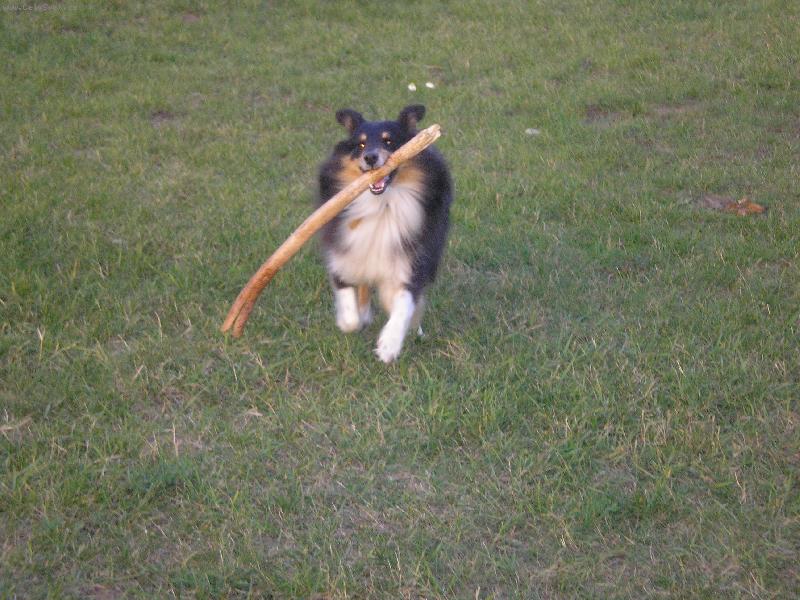 Foto: Bessinka =)-p�ines klac��ek :P