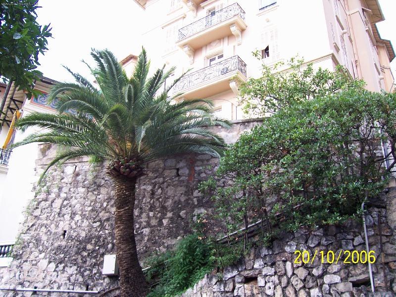 Foto: Monako-Domy, ulice a zahrady na teras�ch.