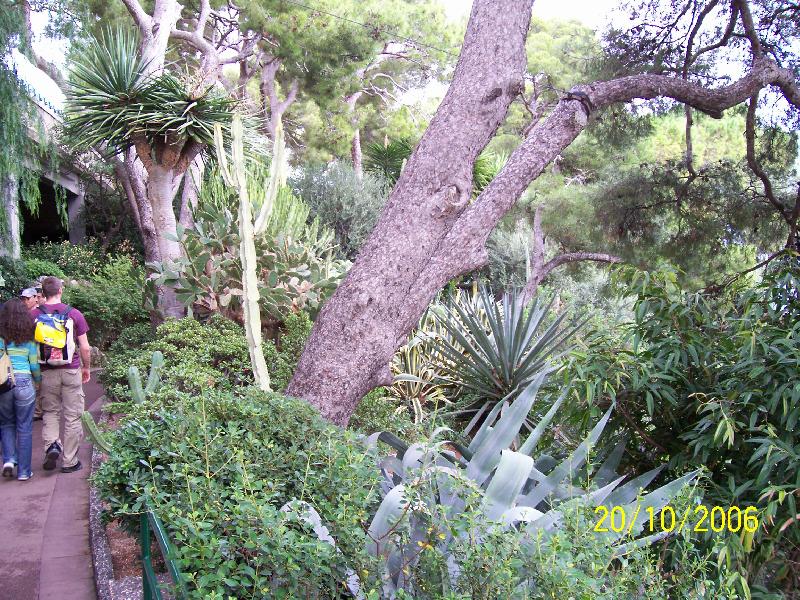 Foto: Monako-Terasov� zahrady u Oce�nografick�ho muzea.