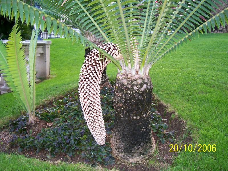 Foto: Monako-Terasov� zahrady u Oce�nografick�ho muzea.