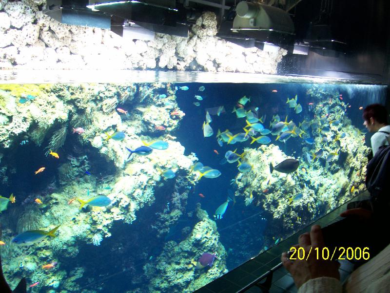 Foto: Monako-Ob�� akv�ria Oce�nografick�ho muzea.