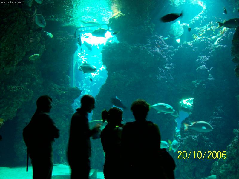Foto: Monako-Ob�� akv�ria Oce�nografick�ho muzea.