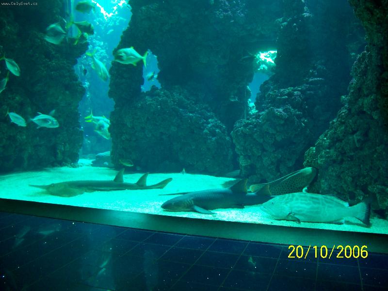 Foto: Monako-Ob�� akv�ria Oce�nografick�ho muzea.