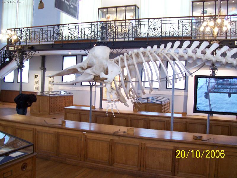 Foto: Monako-Expozice Oce�nografick�ho muzea.