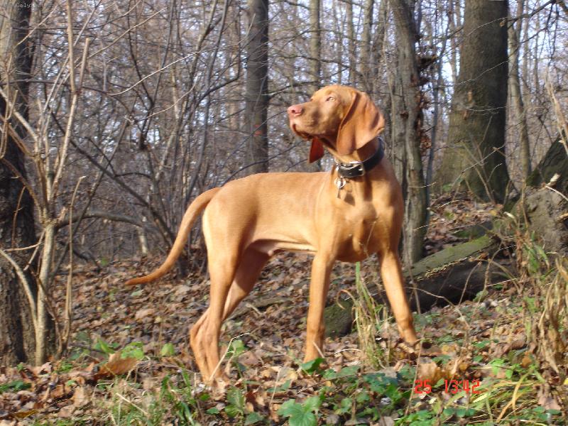 Foto: Percy Akcezal-5.m�s�c�