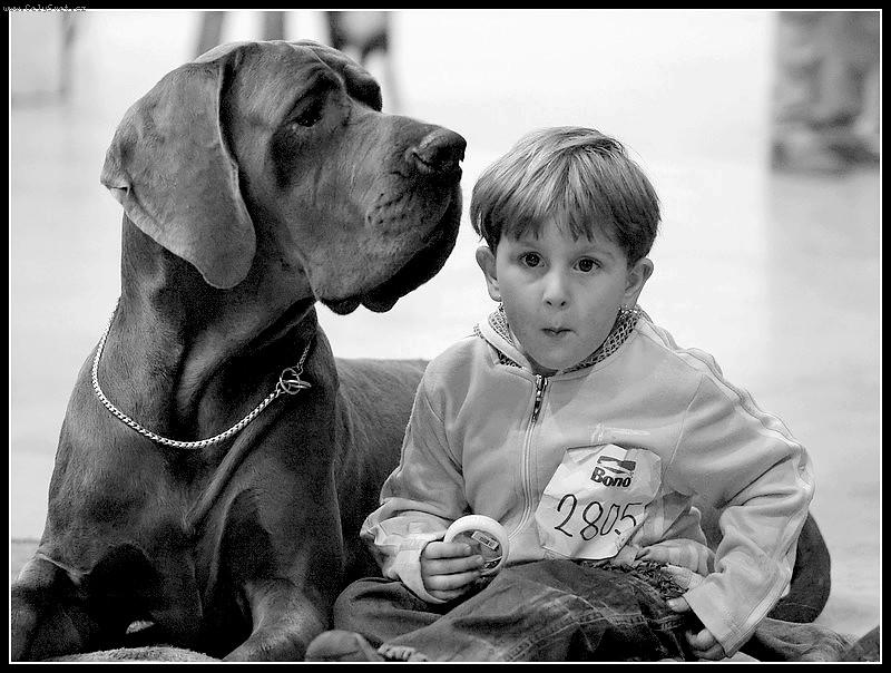 Foto: Kamar�di.....