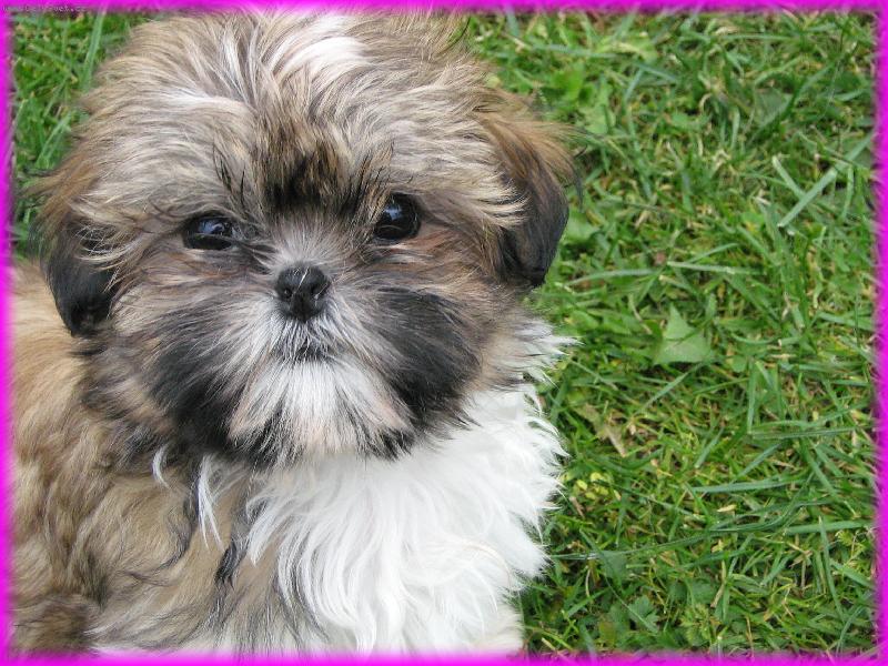 Foto: Tak se tv���m,kdy� n�co provedu...-Na�e zlat��ko Sindy...