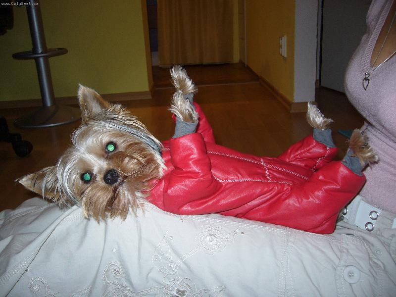 Foto: MIA z D���na-...to rad�i zmrznu...